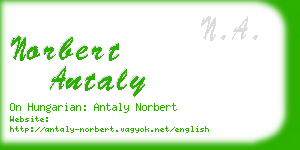 norbert antaly business card